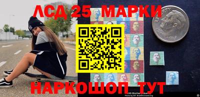 ГАЛЛЮЦИНОГЕННЫЕ ГРИБЫ Сланцы