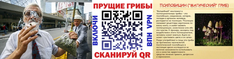 дарк нет состав  где купить   Янаул  Псилоцибиновые грибы ЛСД 