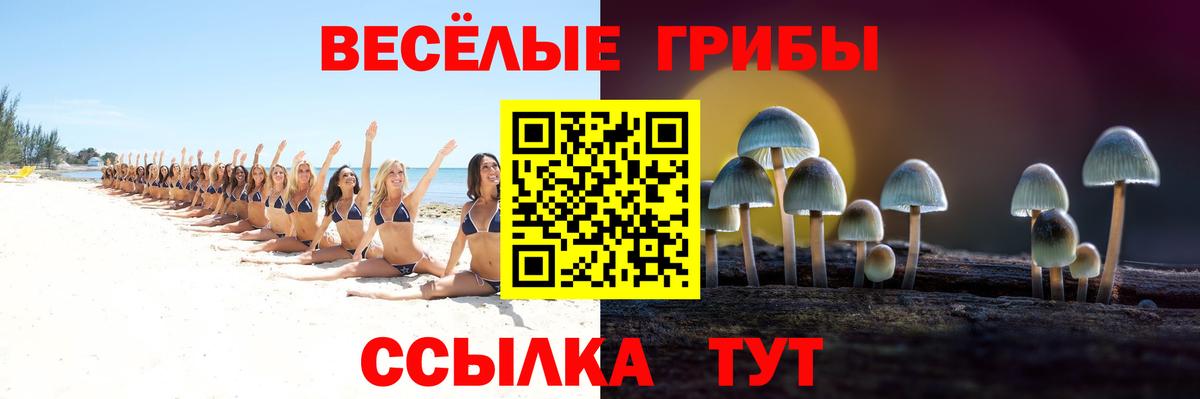 как найти закладки  Вход с VPN  Галлюциногенные грибы мицелий  Янаул  Псилоцибиновые грибы Psilocybine cubensis 